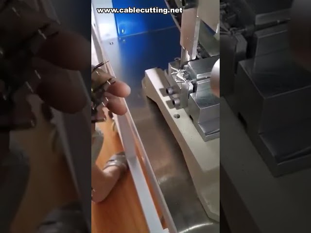 آلة تجعيد شبه أوتوماتيكية لقوابس 2 دبوس EU - مثالية للتجميع الصناعي