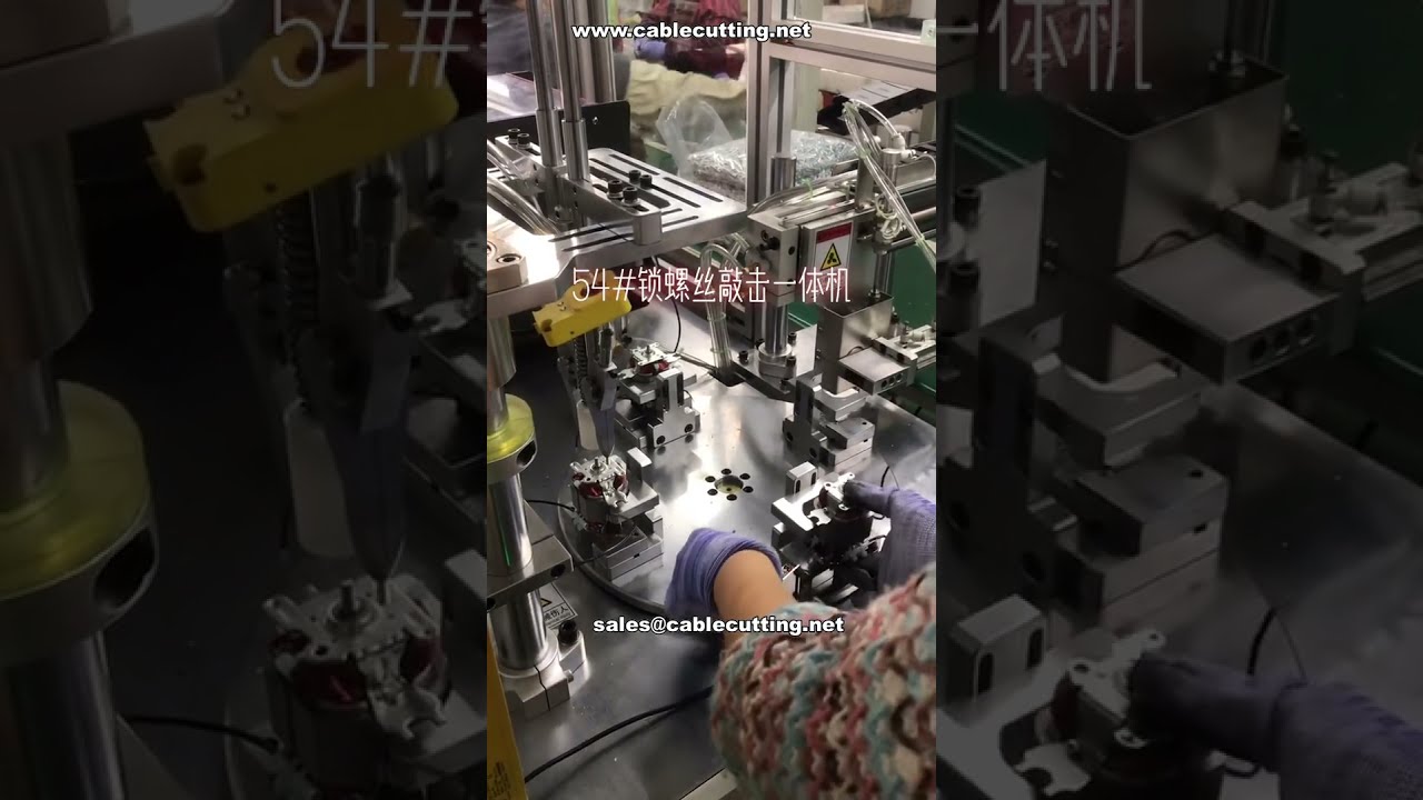 Specialized Screw Fastening Machine for Motors Multi Model Compatible & Long Screw Feeder